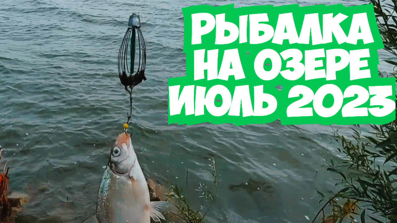 Рыбалка на озере Рыбалка 2023 Рыбалка на донку смотреть онлайн