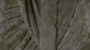 Саймон Шама: История Британии 3 серия «Династия» (документальный сериал, 2000)