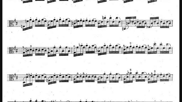 R.Kreutzer, Nº13, 📕violin & Viola, Etude, Yangon Lin, Violist.