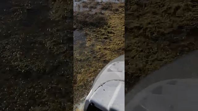 На буране по болоту смотреть онлайн