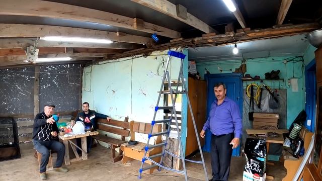 Трудовые будни с нашей бандой!!! Питбуль/волк/дворянин/щенки. смотреть онлайн