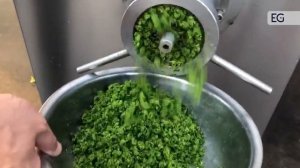 Промышленный гранулятор DL-6CJR-100