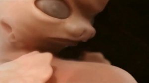 Развитие малыша в утробе от начала и до конца