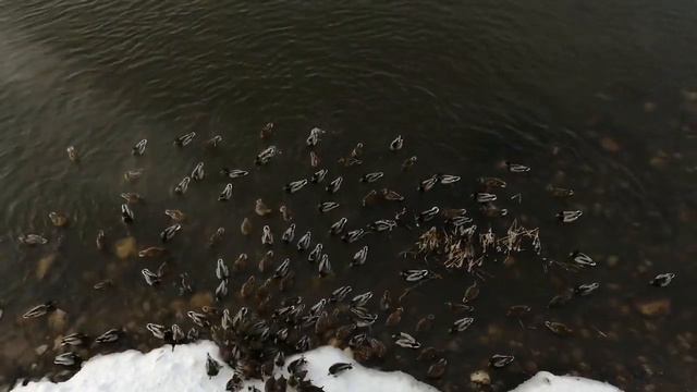 Медитативная музыка варган смотреть онлайн