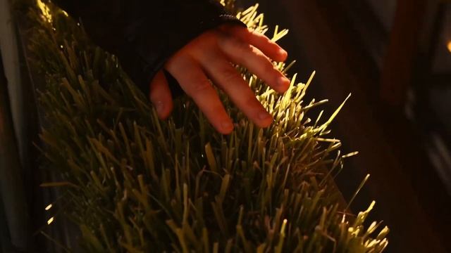 Люда и Питерский ветерок смотреть онлайн