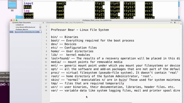 Professor Bear - Linux File System смотреть онлайн