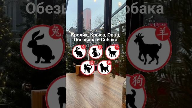 Какие знаки китайского гороскопа самые удачливые в 2023 году? #shorts смотреть онлайн