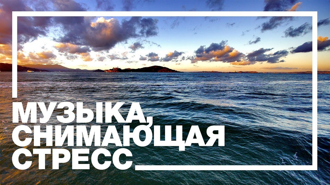 Relax Clip#1. Ocean Beauty, Sea Animals, Relaxing Music.
