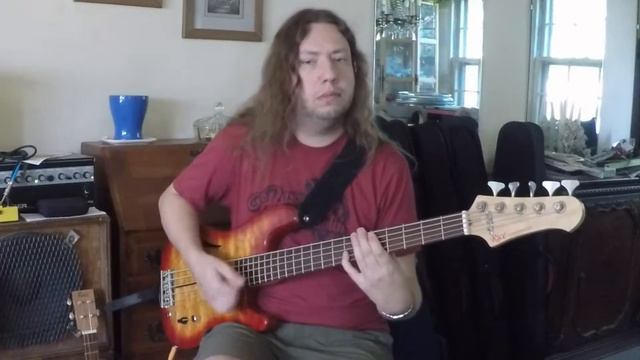 Rice Custom Guitars 5-string Bass #209 смотреть онлайн