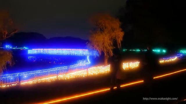 Туризм по Японии Осака - ботанический сад с освещением смотреть онлайн