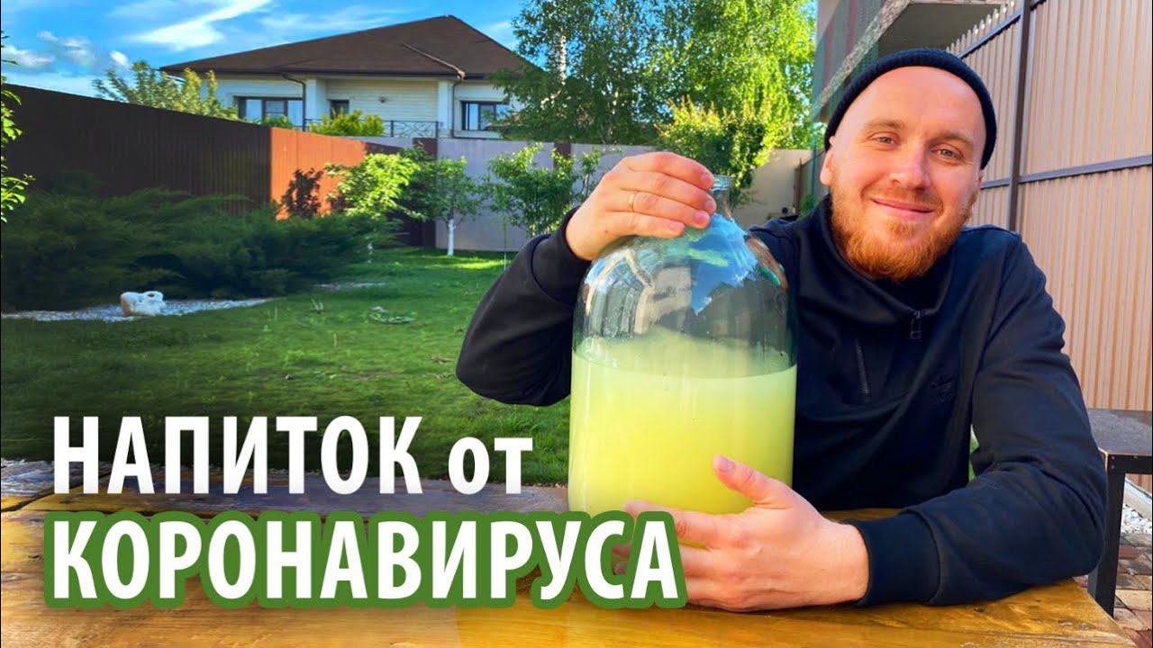 Кубанский напиток против КОРОНАВИРУСА | COVID-19 смотреть онлайн