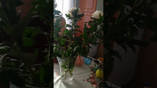 Моя мама любит петь! смотреть онлайн