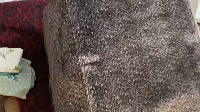 Готовим Квартиру к поминкам #мамаотличника #уборкаквартиры смотреть онлайн