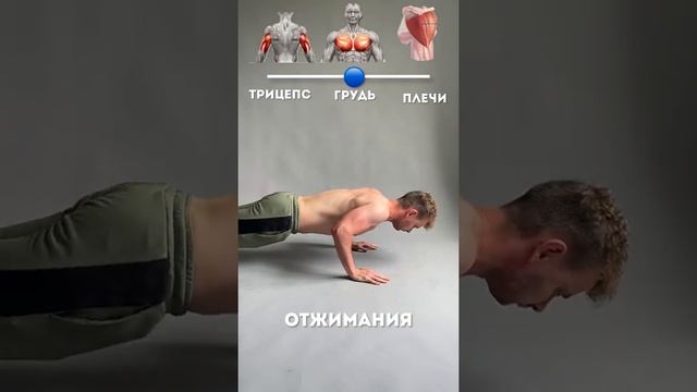 Варианты отжиманий смотреть онлайн