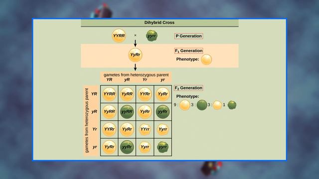 L01 Landmarks in the Field of Genetics смотреть онлайн