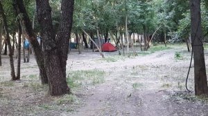 База отдыха "Камышовый рай" ст.Багаевская Ростовская область