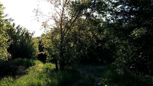 11 июня -День Святой Феодосии.Несчастливый день в году.Что нельзя делать смотреть онлайн