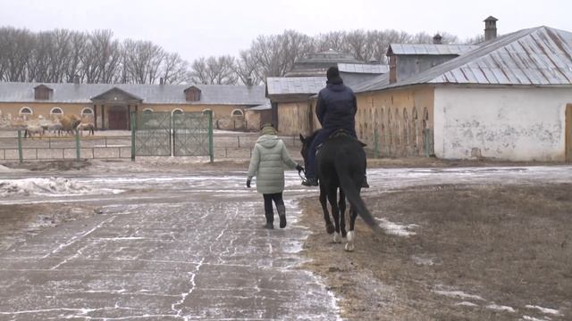 ВЕРХОВАЯ ЕЗДА НА ЛОШАДИ/ ХРЕНОВСКОЙ КОНЕЗАВОД/МАСТЕР АЙКИДО ВЛАДИСЛАВ МАКАРОВ/ТУР ПО ЮГУ РОССИИ 202 смотреть онлайн
