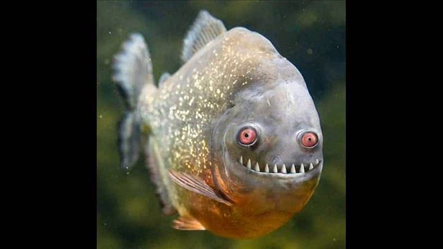 ФОНД КИНО ОПУБЛИКОВАЛ СПИСОК ГРЯДУЩИХ КАРТИН В РОССИИ. Новости от Карася смотреть онлайн