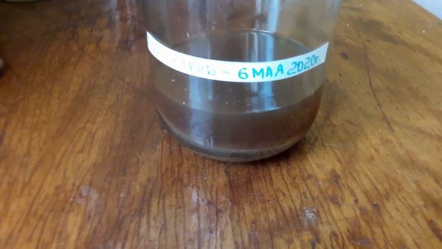 ЧАЙНЫЙ ГРИБ С НУЛЯ, ЧАСТЬ 4. ПРИЕХАЛ В КВАРТИРУ НЕДЕЛЮ СПУСТЯ. смотреть онлайн