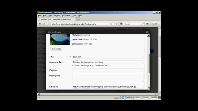 How To Insert & Format Images In A WordPress Post смотреть онлайн