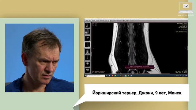 Ваш случай в эфире смотреть онлайн