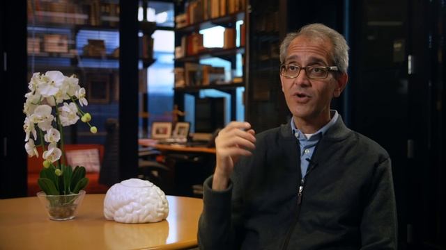 Stanford researchers develop brain-controlled typing for people with paralysis смотреть онлайн