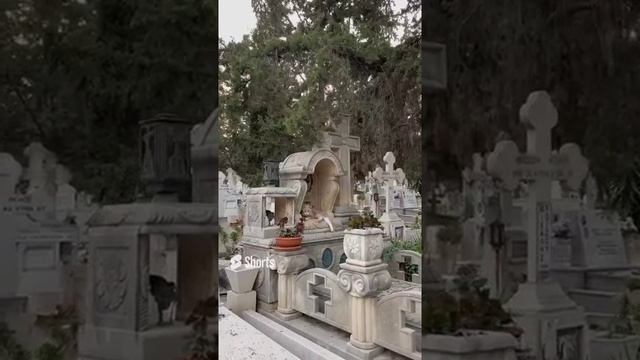 Кладбище, могилы, могила, кот, животные Кипр