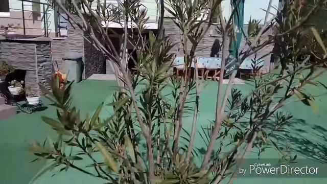 ☀️Гостиница "Орхидея" / Крым / Севастополь / п.Николаевка/ день 10🌅 смотреть онлайн