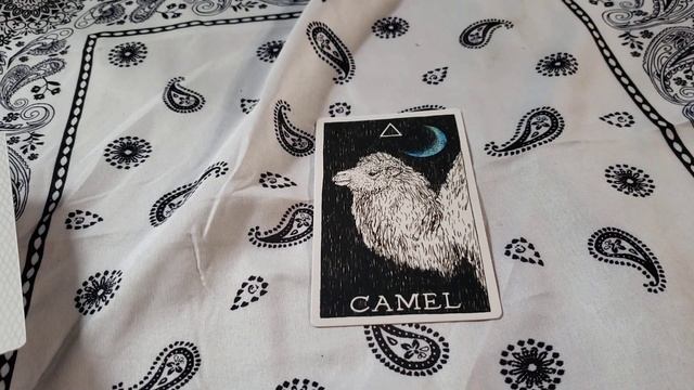 Full Moon Message 06-03-23 смотреть онлайн