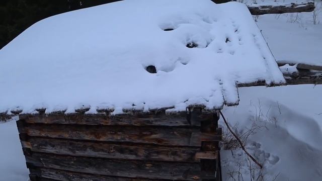 МЕДВЕДЬ ВЫНЕС ОКНО В ИЗБУШКЕ / КОСОЛАПЫЙ ШАТАЛСЯ ОСЕНЬЮ. смотреть онлайн