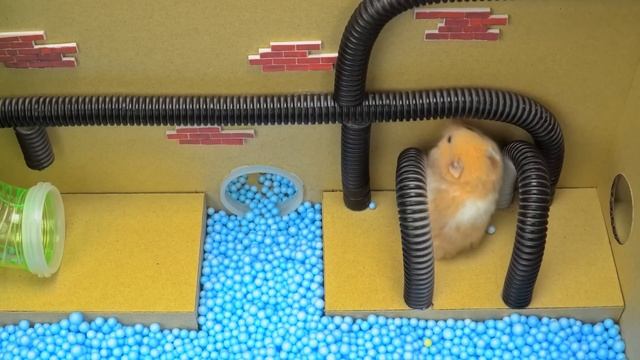 Hamsterious Unlock The Secret Room Of Jumbo Josh In Garten Of Banban смотреть онлайн