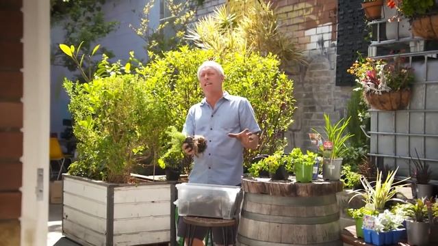 Watex Expandable Green Wall смотреть онлайн