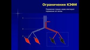 Малецкий Э.Ю. «Роль УЗИ в диагностике поражений периферических нервов»