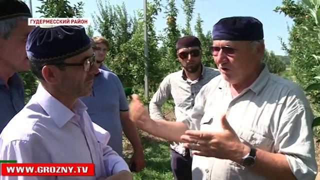 ЛЕВ КУЗНЕЦОВ ОТМЕТИЛ "КАВКАЗ КОРМИТ РОССИЮ" САДЫ ЧЕЧНИ !!! смотреть онлайн
