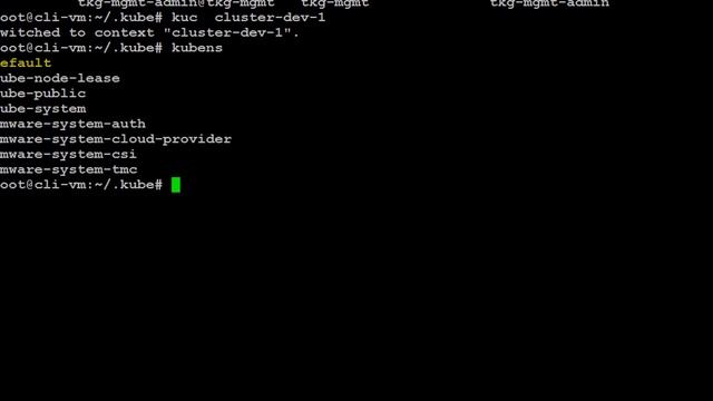 Managing TKG and vSphere with Kubernetes (Pacific) K8s workload clusters with Tanzu Mission Control смотреть онлайн