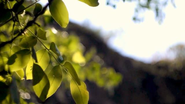 Helios 44M-6 (m42) f2 for Samsung NX (NX1000) tester video смотреть онлайн