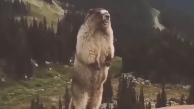 !! God Of War اسوء 5 العاب смотреть онлайн