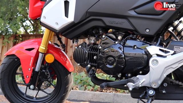 Хонда Гром или ДРУГИЕ ПРИКЛЮЧЕНИЯ ДЕНИСА ? Honda Grom | Полный Тест-драйв! смотреть онлайн