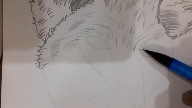 HIDDEN FOX ???sketch easily drow ! V_T Artist смотреть онлайн