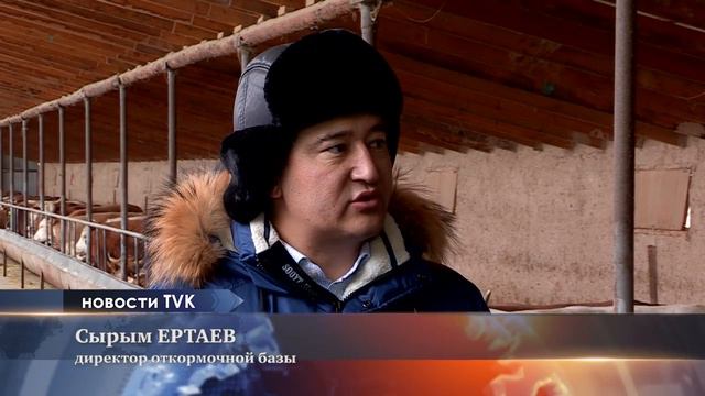 Иранцы сделали первый заказ на покупку мяса в ЮКО смотреть онлайн