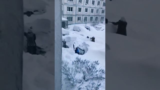 Зима пришла? смотреть онлайн