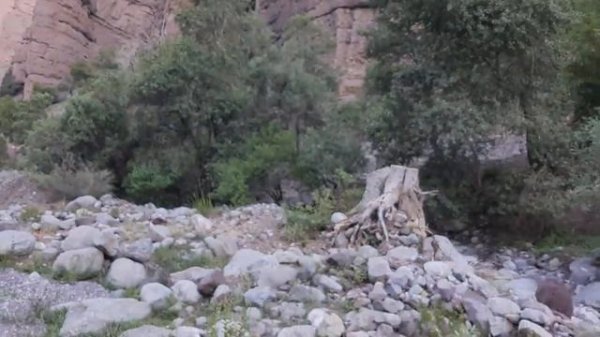 Куҳи чилдухтарон дар Н МУМИНОБОД