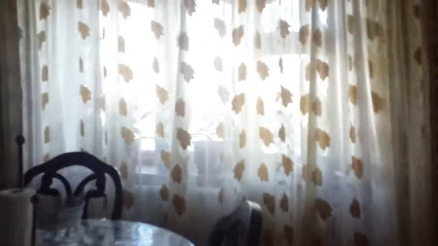 Бабушкин дом и дедушкин дом смотреть онлайн