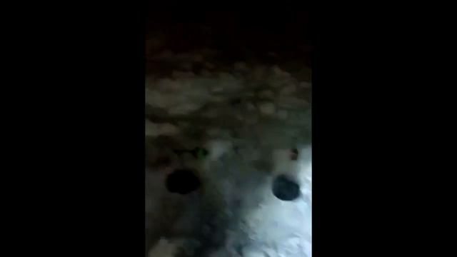 Зимняя Рыбалка смотреть онлайн