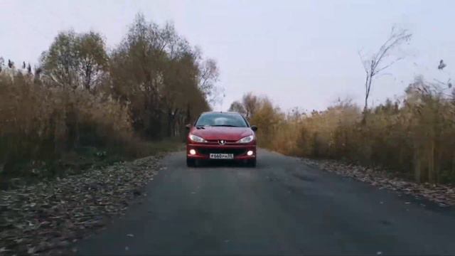 Peugeot 206 1.4 2007 смотреть онлайн