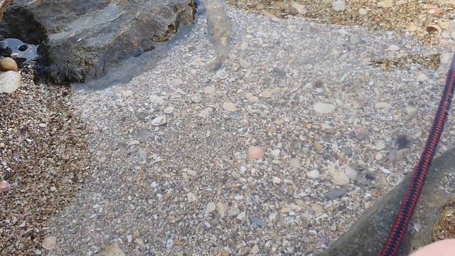 От Иоанна глава 9