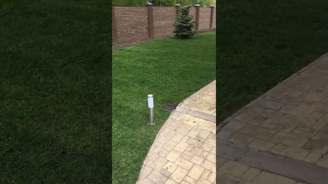 Элитный рулонный газон смотреть онлайн