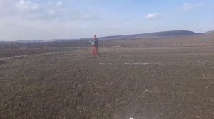 Подкормка озимовой пшеницы , почему жёлтеет пшеница .