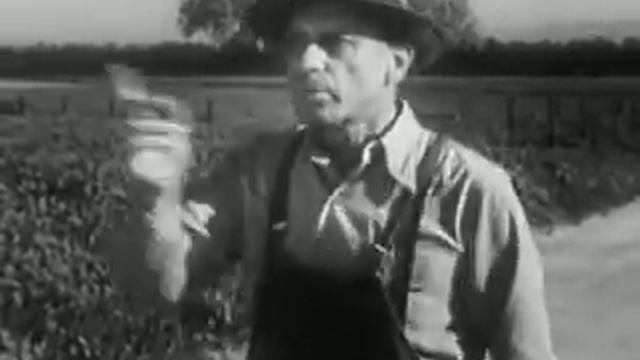 How To Go Places (1954) смотреть онлайн